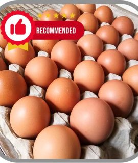Telur Ayam Negeri 1Kg
