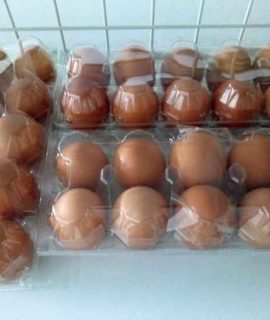 Telur Ayam Isi 10